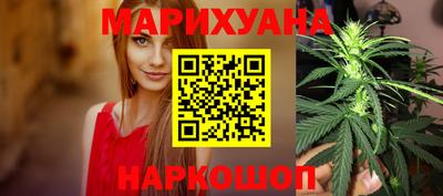крисы Славянск-на-Кубани