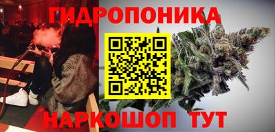 крисы Славянск-на-Кубани