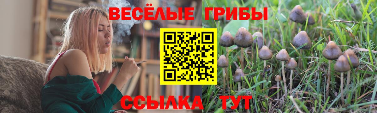 Псилоцибиновые грибы мухоморы Приморско-Ахтарск